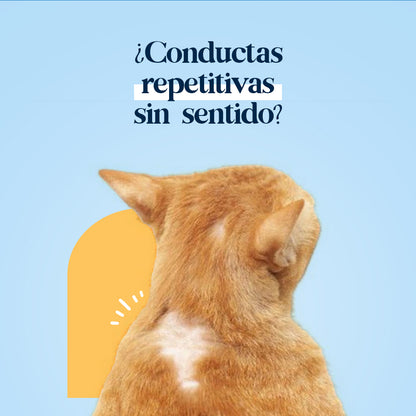 Conductas obsesivas