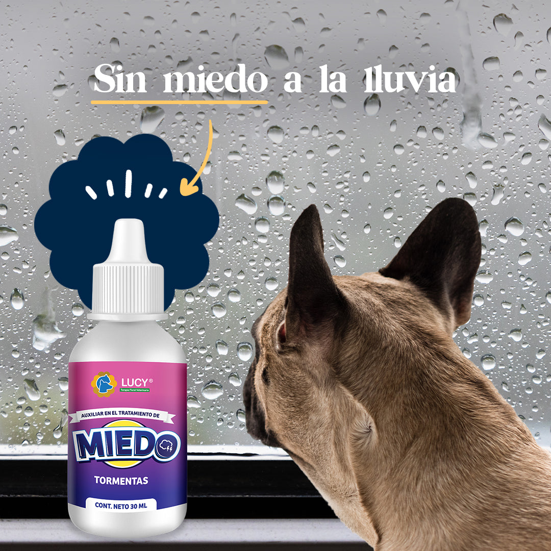 Miedo a Tormentas