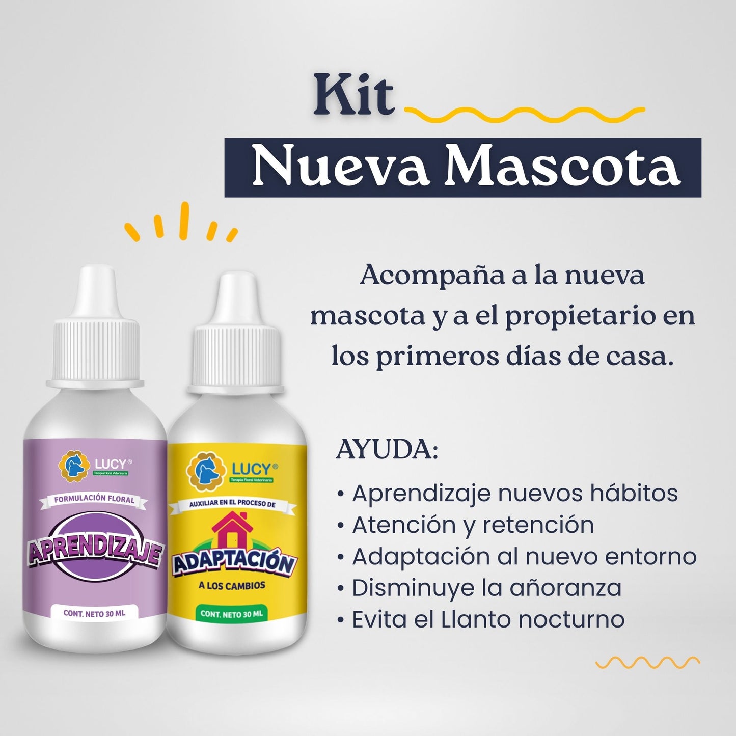 KIT MASCOTA NUEVA