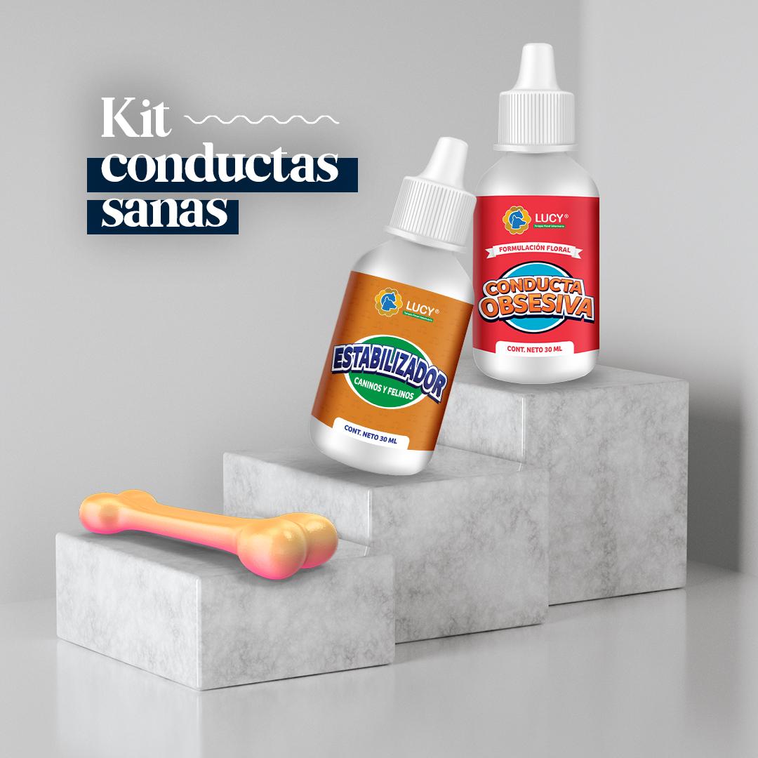 KIT CONDUCTAS SANAS