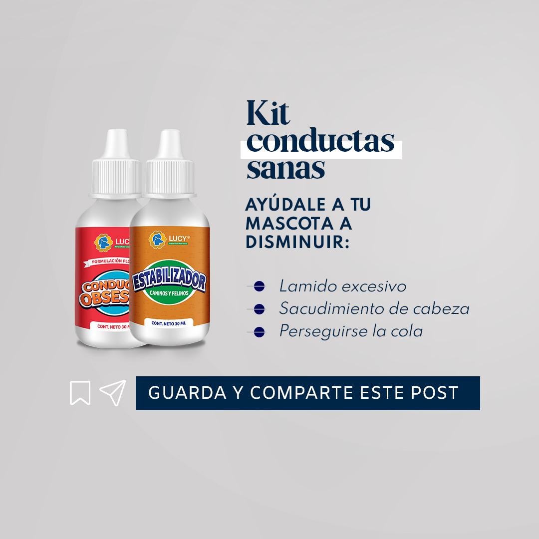 KIT CONDUCTAS SANAS