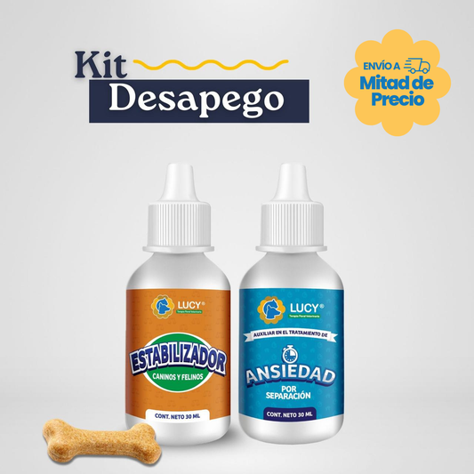 KIT DESAPEGO