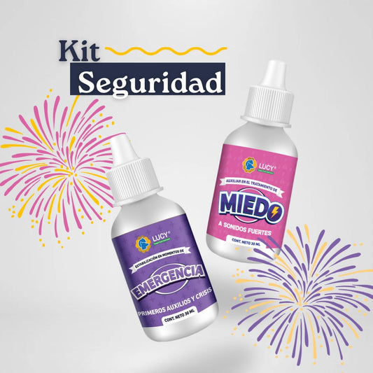 KIT SEGURIDAD