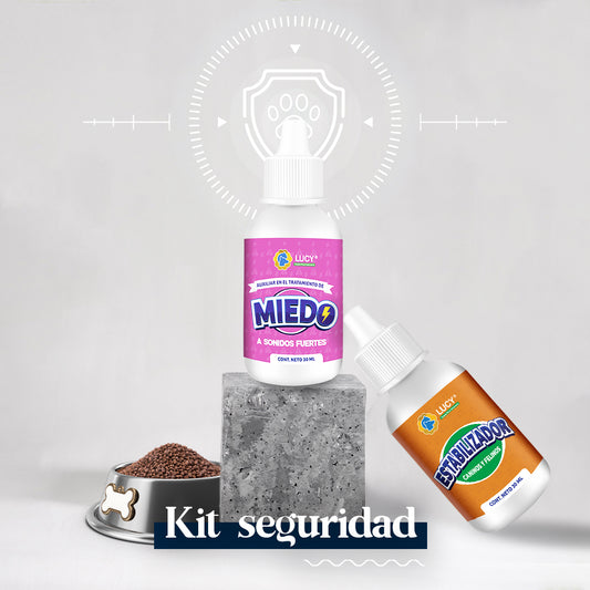 KIT SEGURIDAD