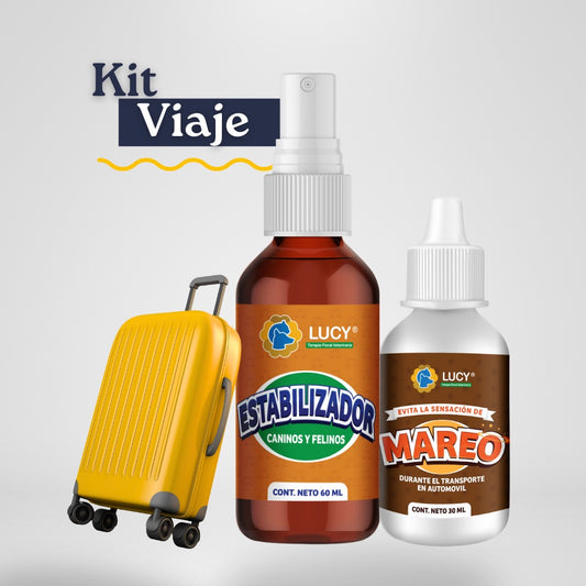 KIT VIAJE