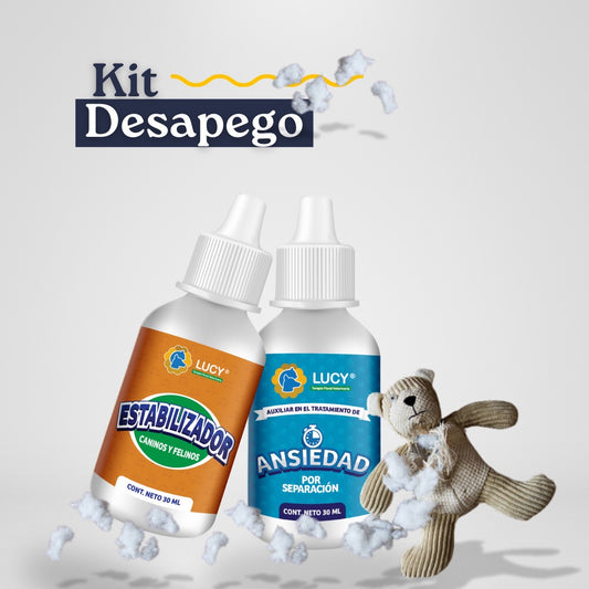 KIT DESAPEGO