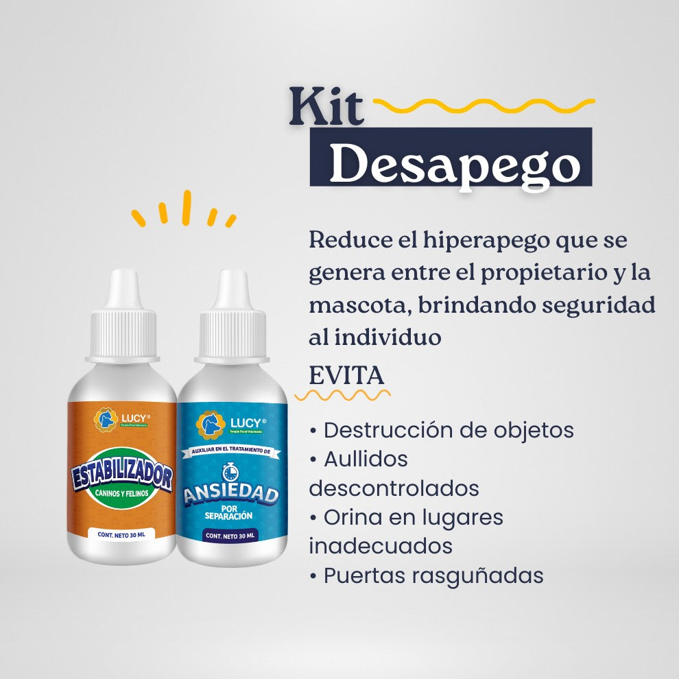 KIT DESAPEGO