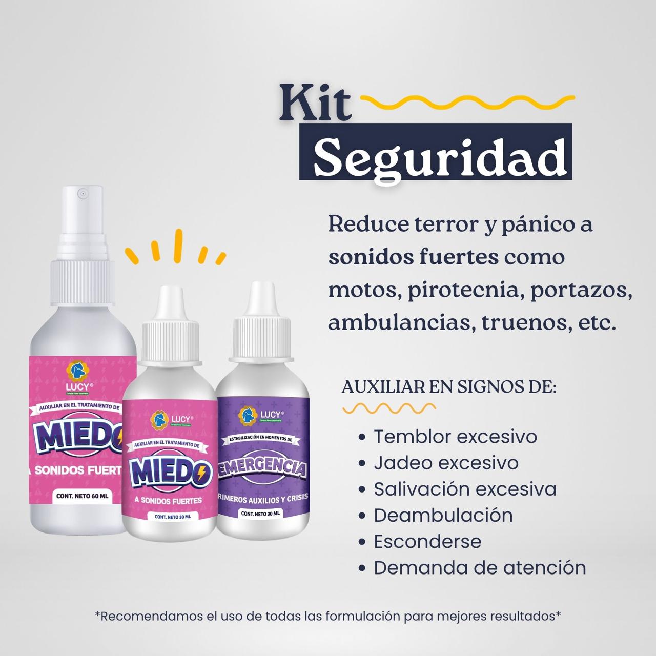KIT SEGURIDAD