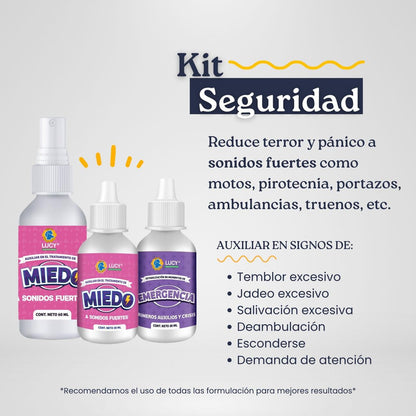 KIT SEGURIDAD