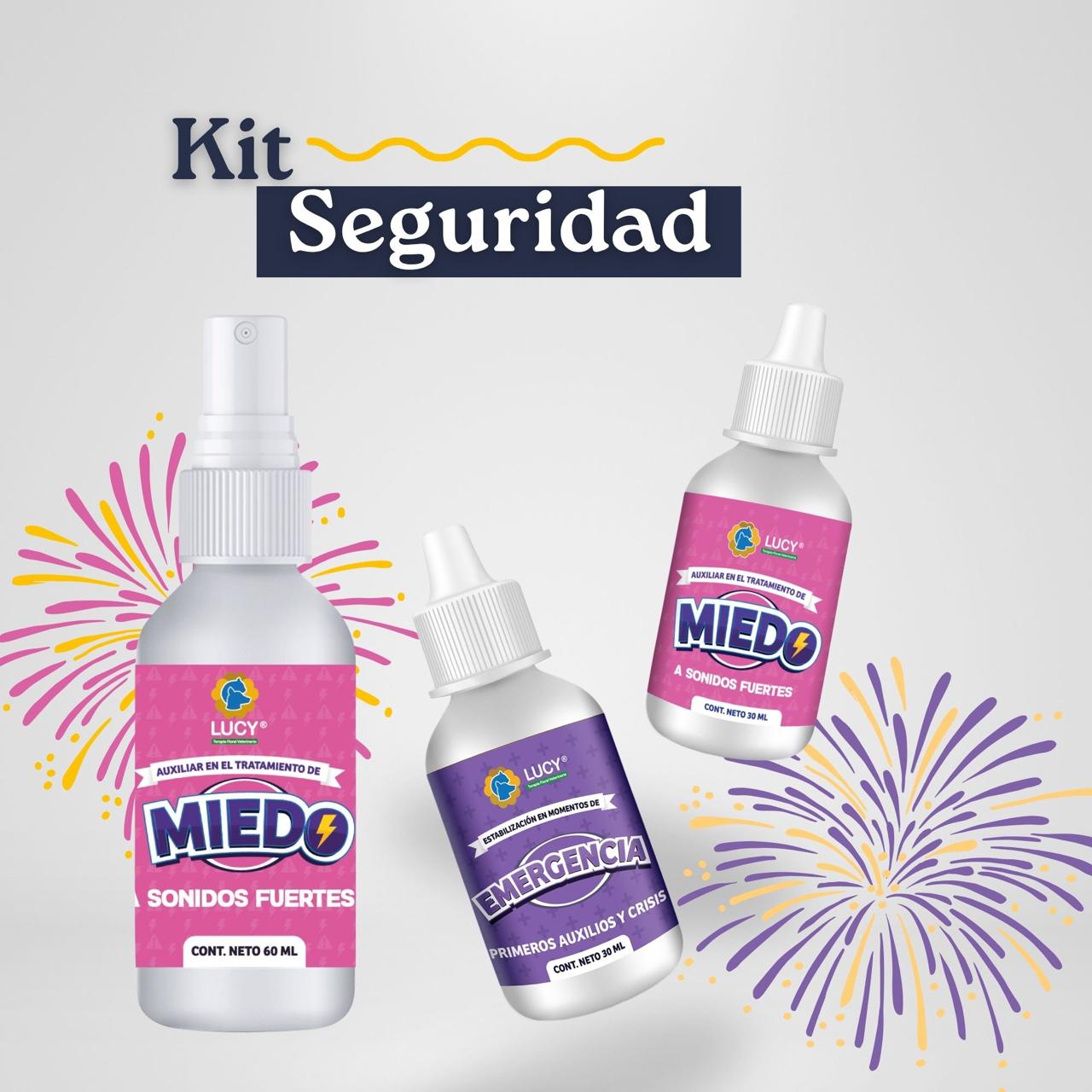 KIT SEGURIDAD